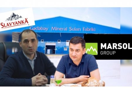 "Slavyanka" brendinin sahibi "Gədəbəy Mineral Suları"-nın 7.6 milyon vergi borcu üzə çıxdı -